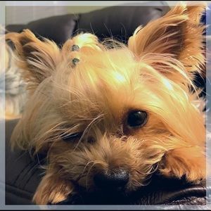 Meet your Posher, Joann